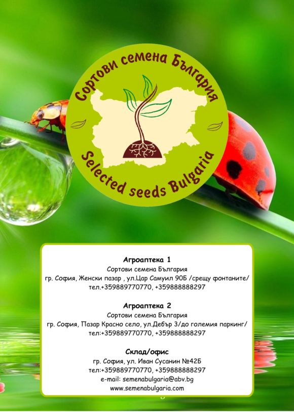 сортови семена